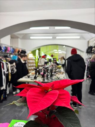 Vánoční rande v Darku je za námi :) poprvé s jógou od @duhovka.ink 🩷 a určitě né naposledy! Bylo to nesmírně nádherný a...